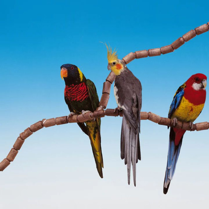 Пластиковая жердочка FLEX 4192 KIT для австралийских и волнистых попугаев