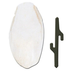 PA 4330 CUTTLEBONE SMALL      