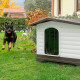 Пластиковая дверь для будки DOGVILLA 70 (19,5 x 0,2 x h 30,3 cm)