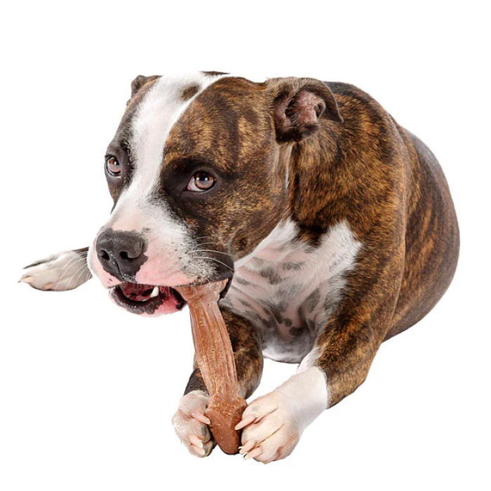 Жевательная игрушка для собак Ferplast GOODBITE NATURAL BEEF BONE, вкус говядины XL - 250 г (20,5 x 6,6 x h 3,2 cm)