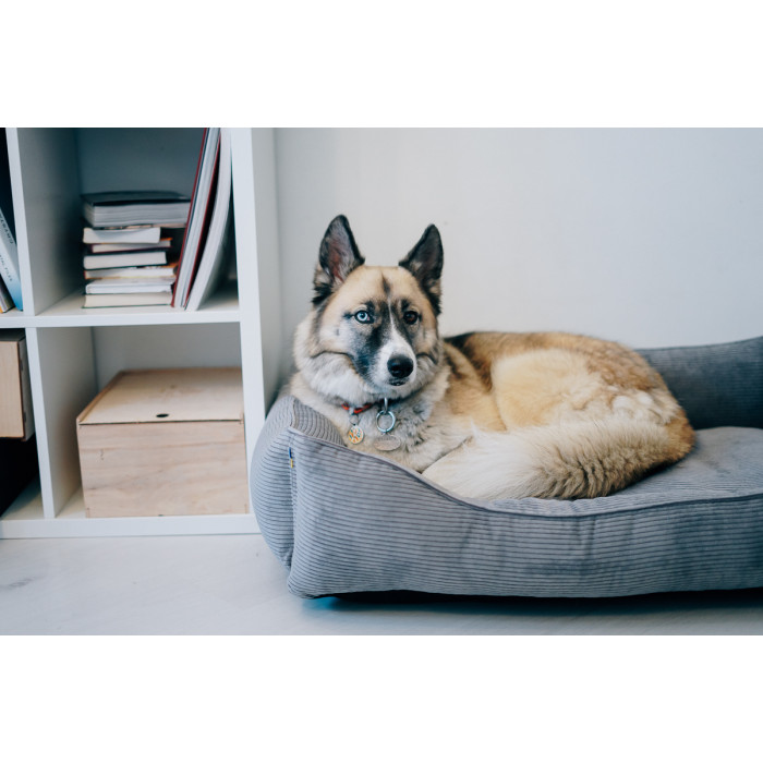 Лежак Dreamer Gray Velvet зі знімним чохлом S 60 х 40 cm