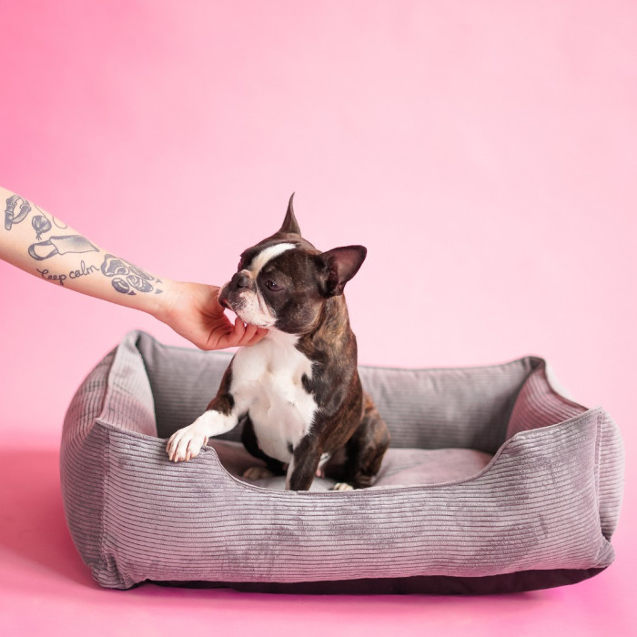 Лежак Dreamer Gray Velvet зі знімним чохлом S 60 х 40 cm