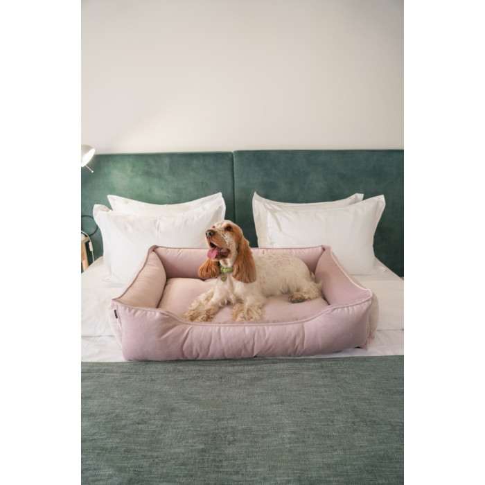 Лежак Dreamer Velur Pudra зі знімним чохлом M (70x50 cm)