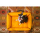 Мягкий лежак Dreamer Mustard с бортами со съемным чехлом S 60 х 40 cm