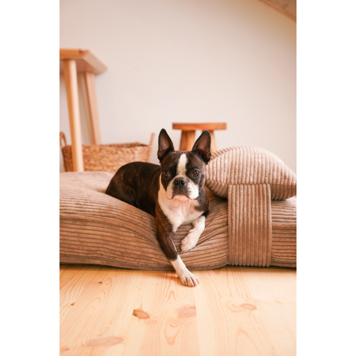 Подушка Memory Foam Cacao L 100 х 70 х 12 cm