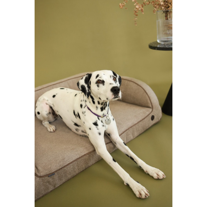 Диван для собак Sleeper Biege M 90×65 см
