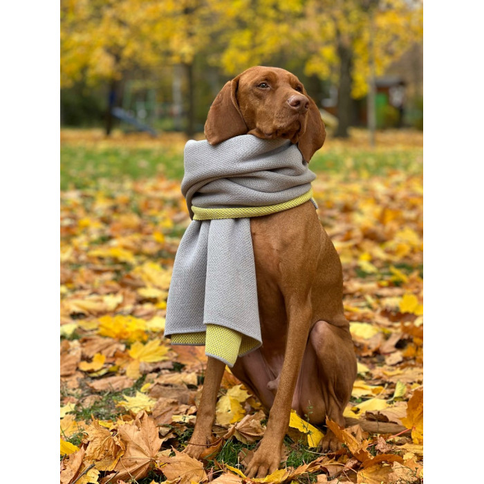 Плед Huggy Grey M 65х95 cm