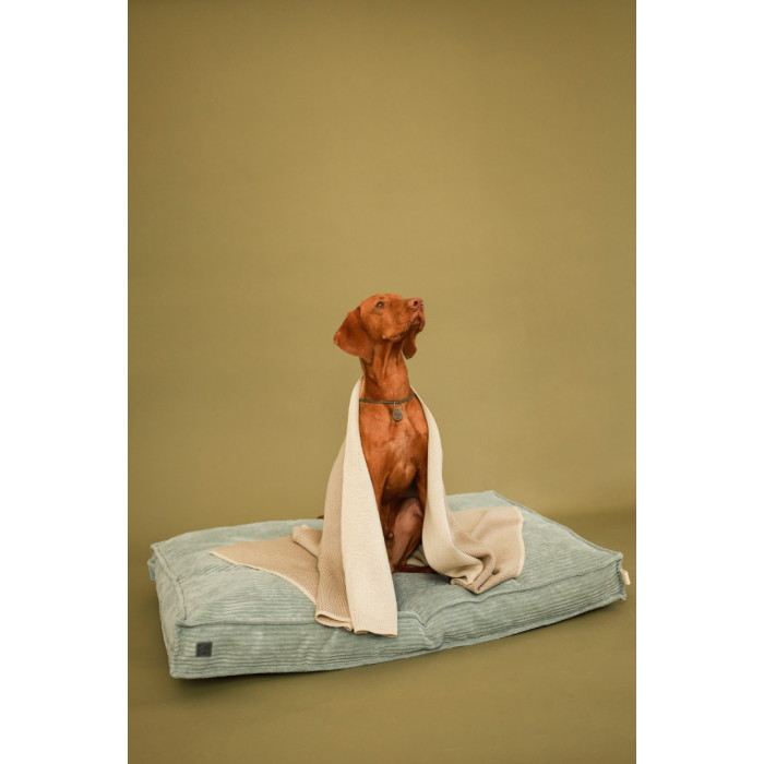 Плед Huggy Cacao M 65х95 cm