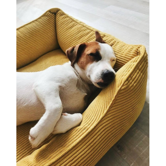 Лежак Dreamer Yellow Velvet со съемным чехлом XL 110 х 70 cm