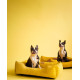 Лежак Dreamer Yellow Velvet со съемным чехлом XL 110 х 70 cm