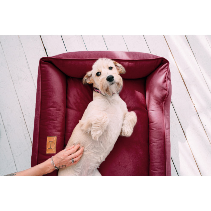 Лежак Dreamer Velour Wine со съемным чехлом M (70x50 cm)
