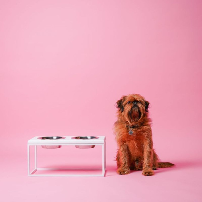 Миски на подставке Lunch Bar Wood White Wood + White, белые XS 28x14x5см