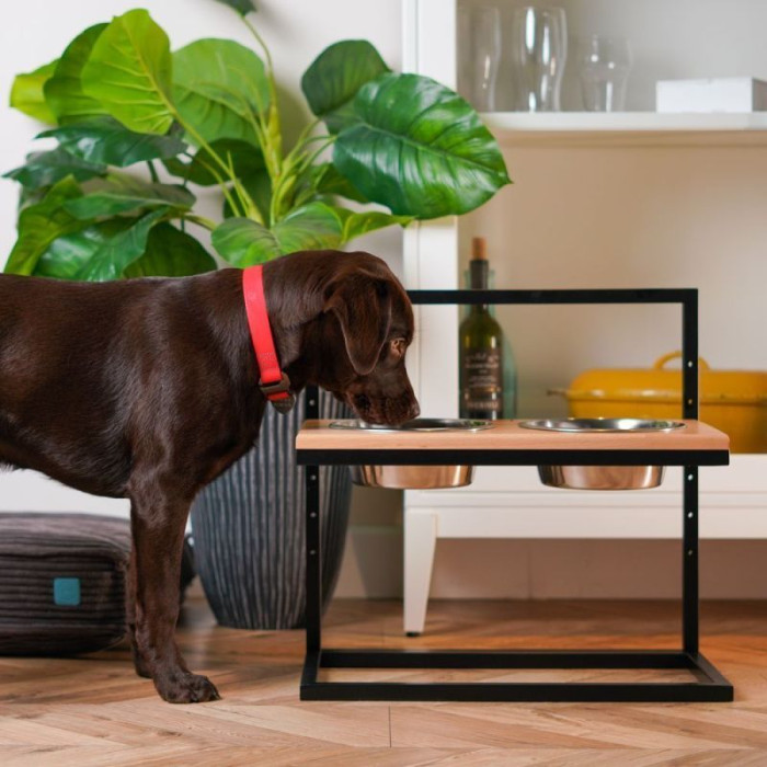 Миски з регульованою висотою зі стільницею з натурального дерева Lift Natural Wood + Black 42x21cm / 0,75 л