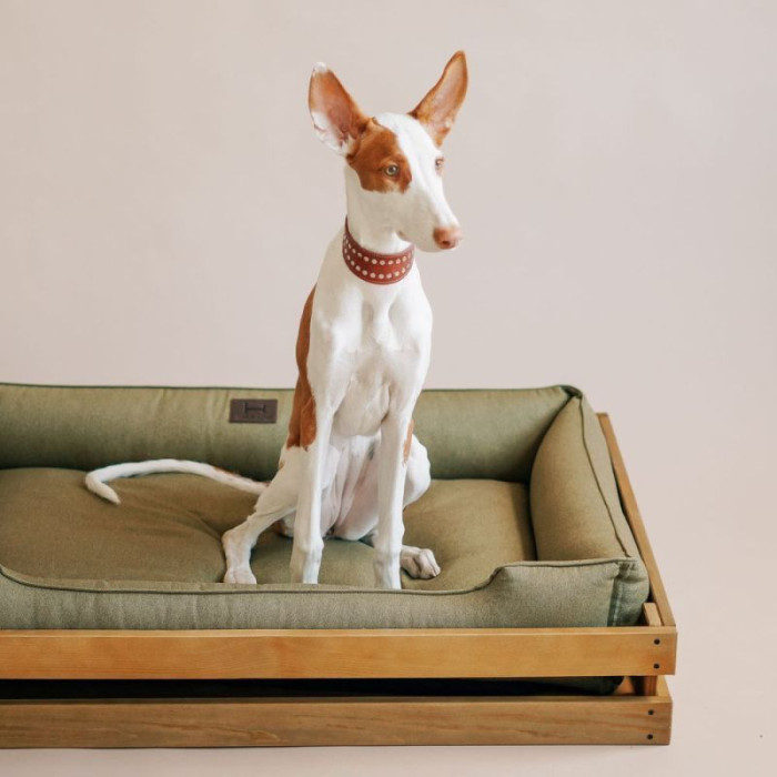 Лежак Dreamer Nature-Olive з дерев'яним каркасом