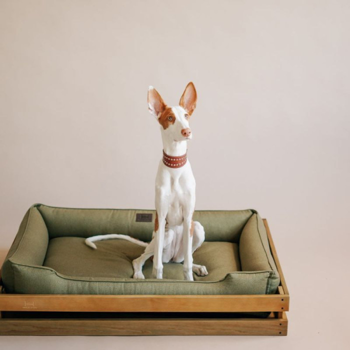 Лежак Dreamer Nature-Olive з дерев'яним каркасом