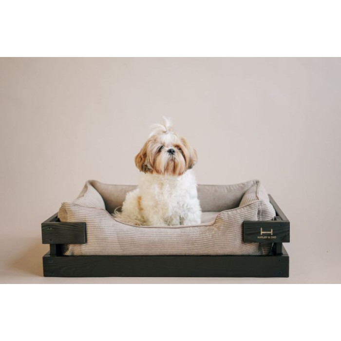 Лежак Dreamer Brown + Cacao Velvet із дерев'яним каркасом