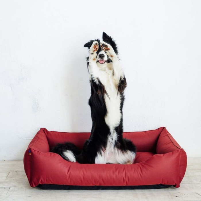 Влагостойкий лежак Dreamer Red Waterproof