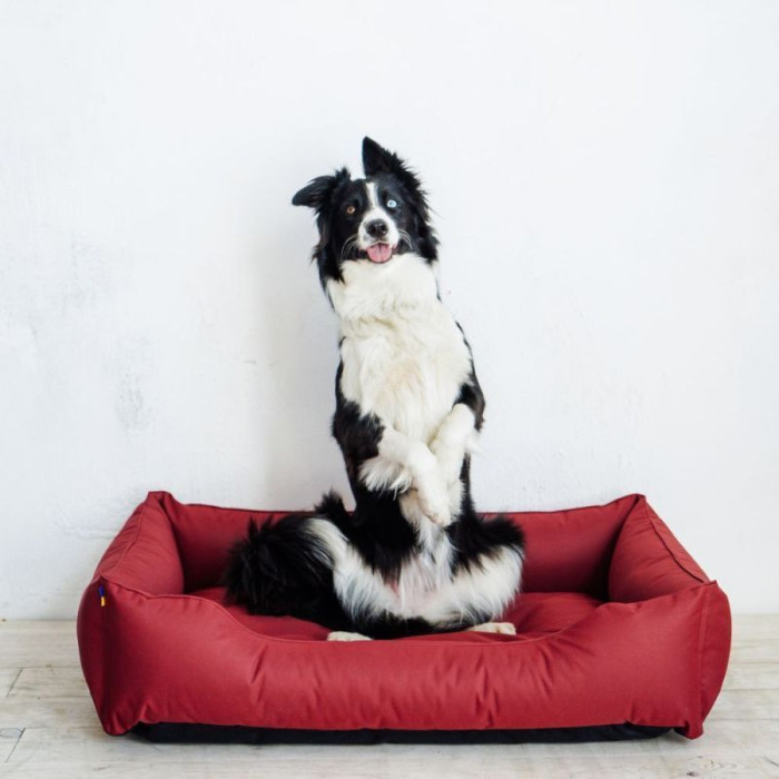 Влагостойкий лежак Dreamer Red Waterproof