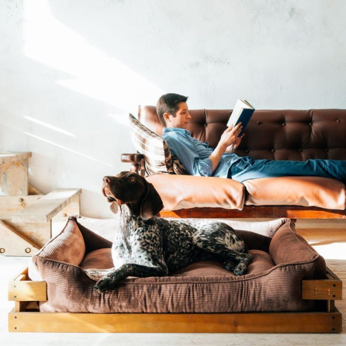 Лежак Dreamer Nature + Brown Velvet із дерев'яним каркасом