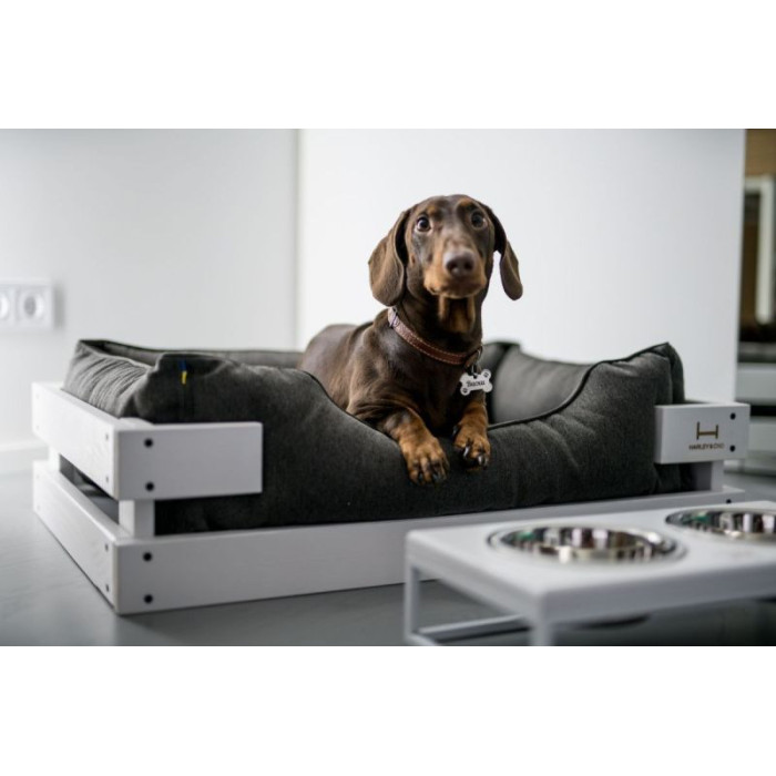 Лежак Dreamer White-Gray з дерев'яним каркасом