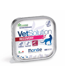 Паштет Monge VetSolution Recovery для сприяння відновленню харчування під час одужання кішок 100г
