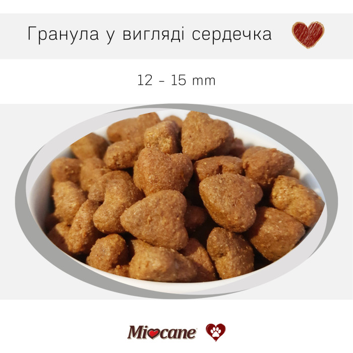 Сухой корм для взрослых собак средних и крупных пород Morando Miocane Adult с лососем, 3 кг