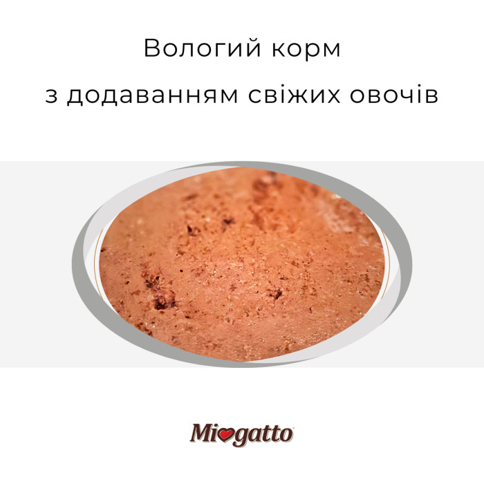 Консервы Morando Miogatto для стерилизованных котов с голубой рыбой и лососем, 100 г