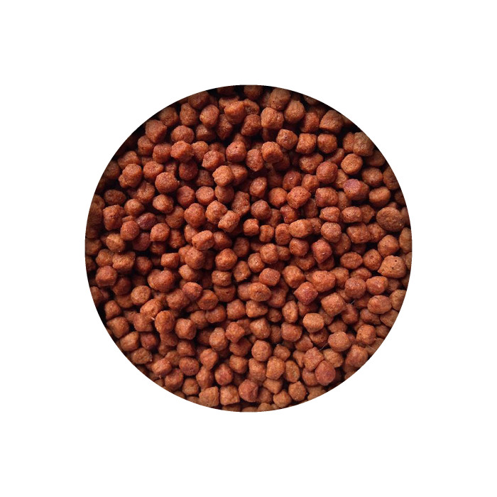 Сухий беззерновий супер-преміум корм ESSENTIA KITTEN MAIALE GRAIN FREE для кошенят,зі свининою, 300 г