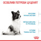 Корм Royal Canin X-Small Puppy для щенков миниатюрных пород в возрасте до 10 месяцев, 0,5 кг