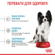 Корм Royal Canin X-Small Puppy для щенков миниатюрных пород в возрасте до 10 месяцев, 0,5 кг