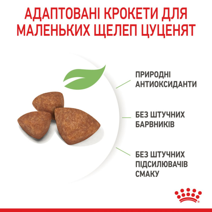 Корм Royal Canin X-Small Puppy для щенков миниатюрных пород в возрасте до 10 месяцев, 0,5 кг