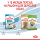 Корм Royal Canin X-Small Puppy для щенков миниатюрных пород в возрасте до 10 месяцев, 0,5 кг
