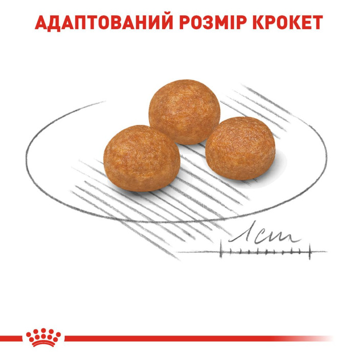 Корм Royal Canin X-Small Adult для собак від 10 місяців до 8 років мініатюрних порід, 1,5 кг + контейнер у подарунок