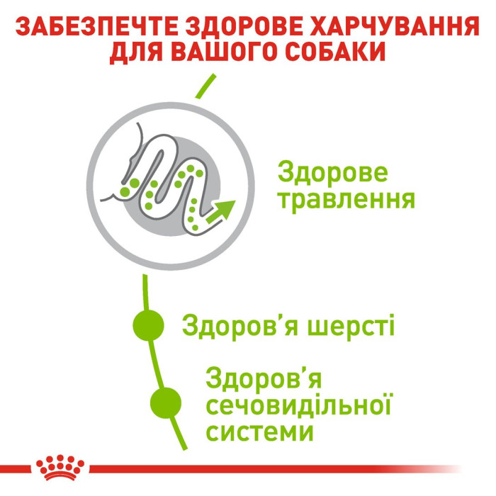 Корм Royal Canin X-Small Adult для собак від 10 місяців до 8 років мініатюрних порід, 1,5 кг + контейнер у подарунок