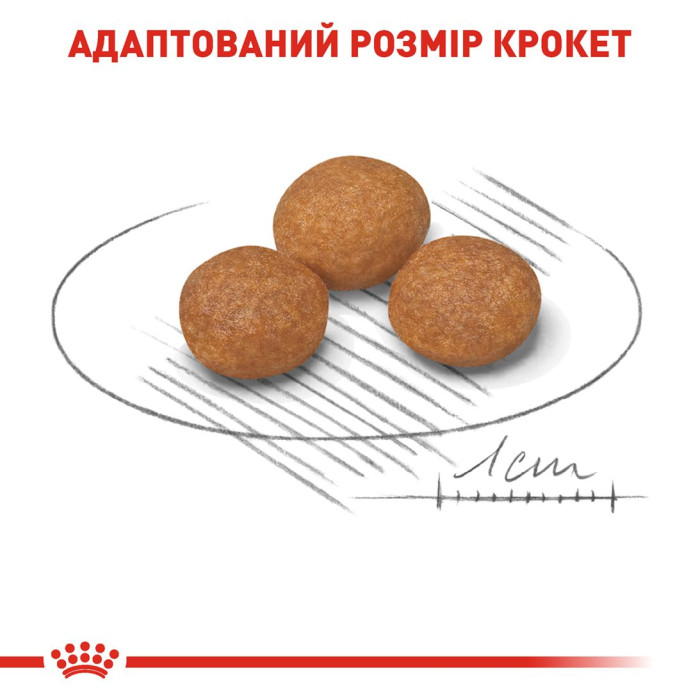 Корм Royal Canin X-Small Adult 8+ для собак от 8 лет миниатюрных пород, 0,5 кг