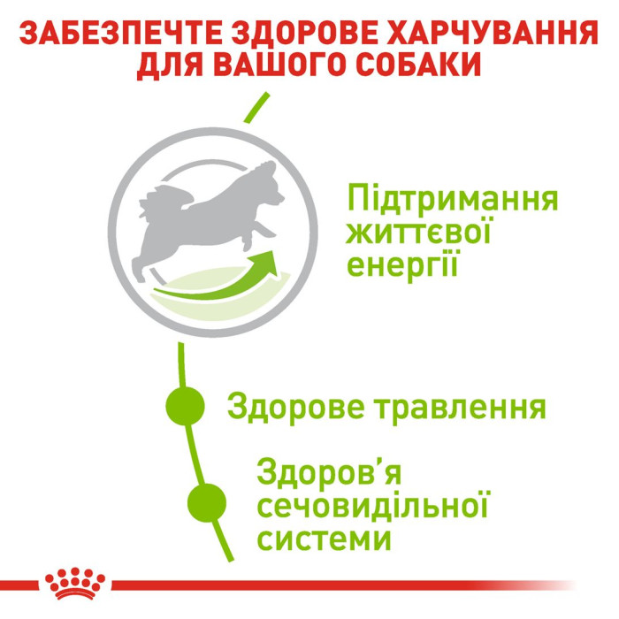 Корм Royal Canin X-Small Adult 8+ для собак от 8 лет миниатюрных пород, 0,5 кг