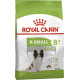 Корм Royal Canin X-Small Adult 8+ для собак от 8 лет миниатюрных пород, 0,5 кг