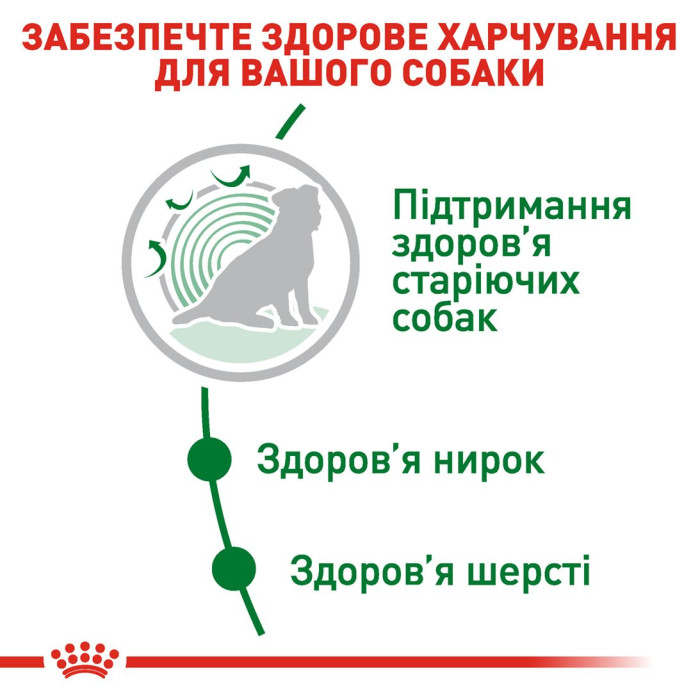 Корм Royal Canin Mini Ageing 12+ для собак малих розмірів від 12 років, 1,5 кг