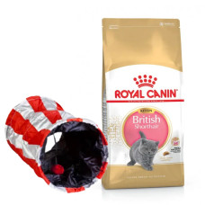 Корм Royal Canin British Shorthair Kitten для котят породы британская короткошерстная в возрасте до 12 месяцев 2кг + туннель в подарок
