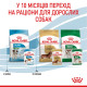 Консерви Royal Canin Mini Puppy для цуценят дрібних порід віком до 10 місяців (у соусі), 85 г