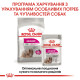Влажный корм Royal Canin Exigent для малых собак (до 10 кг) привередливых к корму (паштет), 85 г