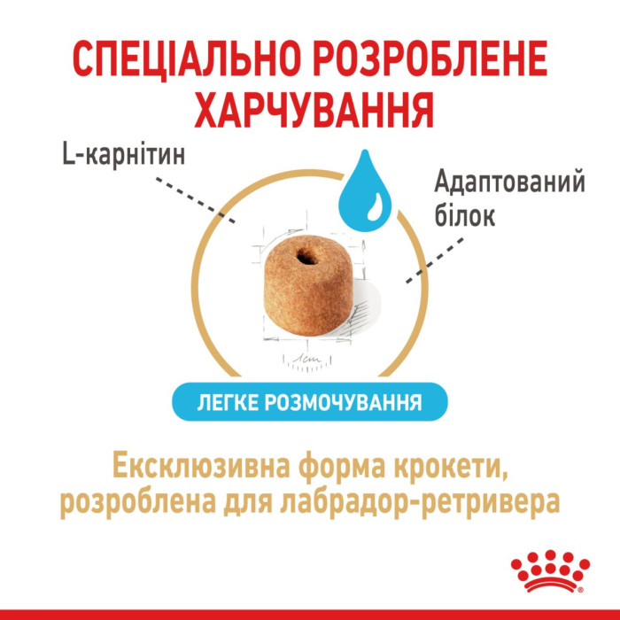 Корм Royal Canin Labrador Retriever AGEING 5+ для літніх собак породи лабрадор ретрівер віком від 5 років, 12 кг