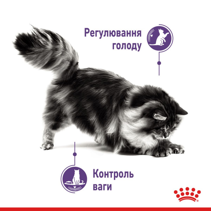 Консерви Royal Canin Appetite Control Care Jelly (шматочки в желе) для стерилізованих/кастрованих кішок 1-7 років, схильних до випрошування корму, 85 г