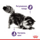 Консерви Royal Canin Appetite Control Care Jelly (шматочки в желе) для стерилізованих/кастрованих кішок 1-7 років, схильних до випрошування корму, 85 г