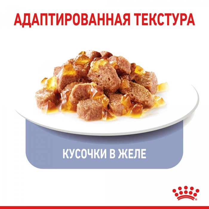 Консерви Royal Canin Appetite Control Care Jelly (шматочки в желе) для стерилізованих/кастрованих кішок 1-7 років, схильних до випрошування корму, 85 г