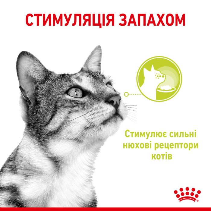 Консервы Royal Canin SENSORY SMELL in gravy (кусочки в соусе) для взрослых котов, стимулирующий нюховые рецепторы в котов, 85 г