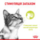 Консервы Royal Canin SENSORY SMELL in gravy (кусочки в соусе) для взрослых котов, стимулирующий нюховые рецепторы в котов, 85 г