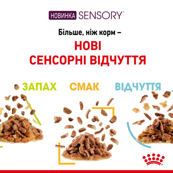 Консерви Royal Canin SENSORY TASTE in jelly (шматочки в желе) для дорослих котів, що стимулює смакові рецептори у котів, 85 г