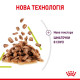 Консервы Royal Canin SENSORY SMELL in gravy (кусочки в соусе) для взрослых котов, стимулирующий нюховые рецепторы в котов, 85 г