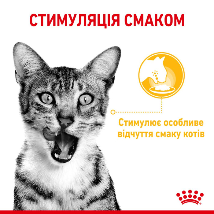 Консерви Royal Canin SENSORY TASTE in jelly (шматочки в желе) для дорослих котів, що стимулює смакові рецептори у котів, 85 г